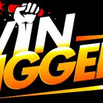 Бездепозитный бонус в Win Diggers казино